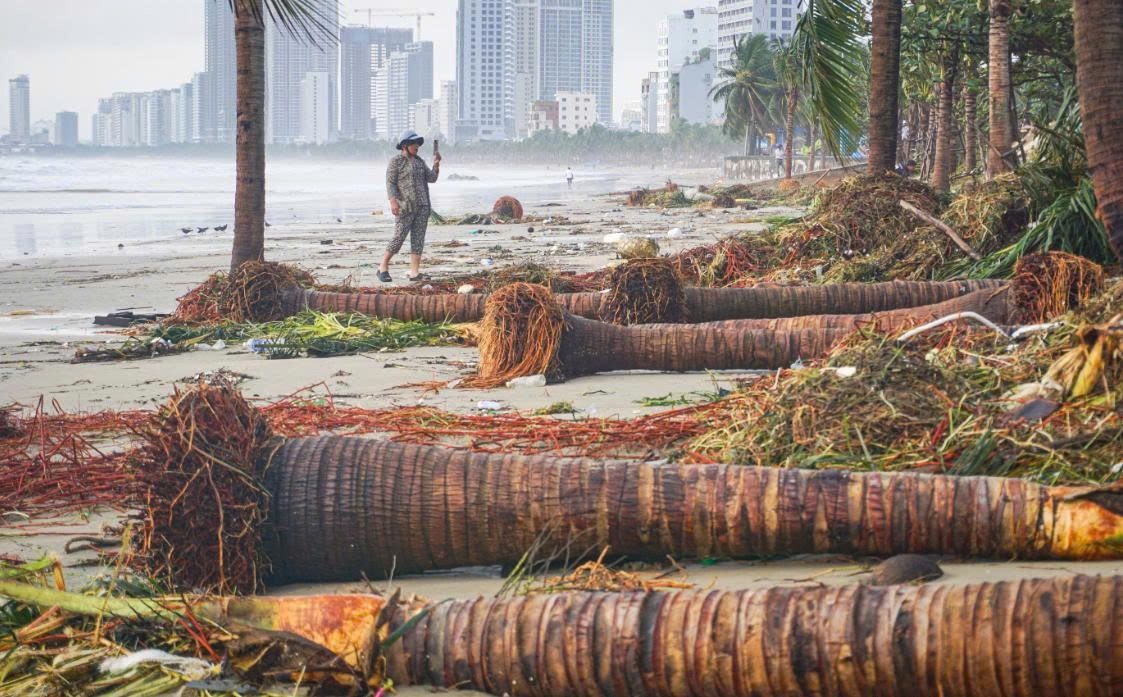 khiến triều cường dâng cao, sóng đánh tràn bờ, gây bật gốc hàng loạt cây dừa ven biển Đà Nẵng.