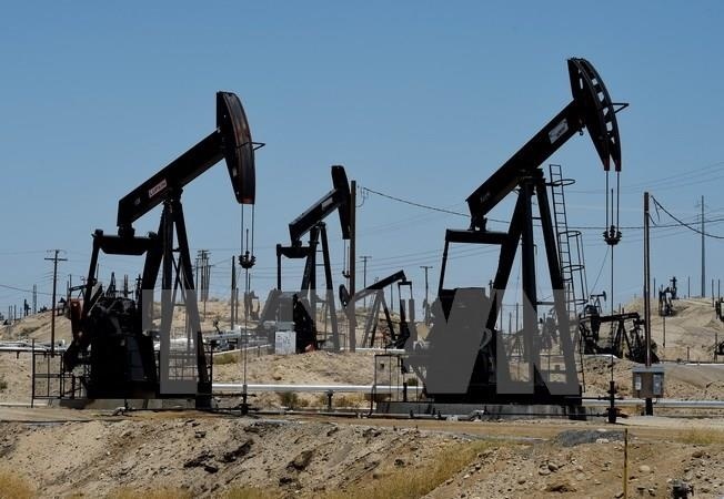 IEA: Nhu cầu dầu toàn cầu có thể tăng đến năm 2050