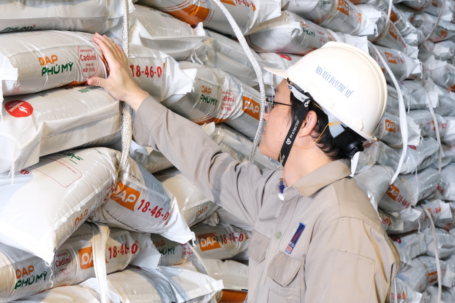 Chính thức ra mắt DAP Phú Mỹ