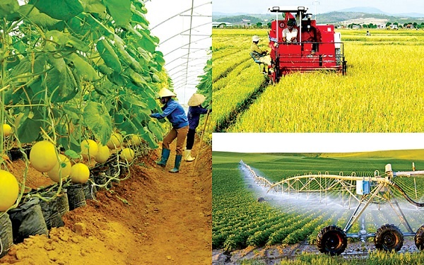 ADB và BIDV hỗ trợ nông nghiệp bền vững và trao quyền cho phụ nữ ở Việt Nam