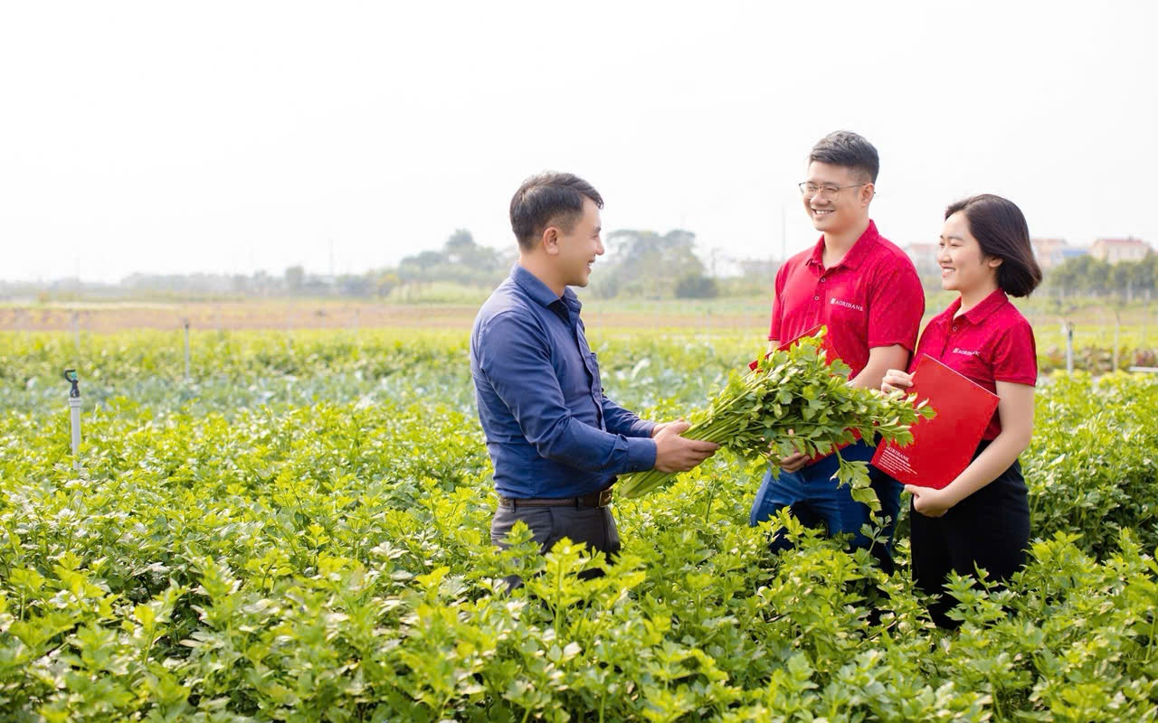 Kỳ 3: Khi thị trường vốn gặp dòng tín dụng xanh