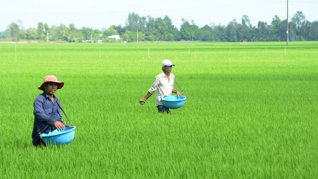 Xung đột Trung Đông: Cú sốc cho lĩnh vực phân bón nông nghiệp