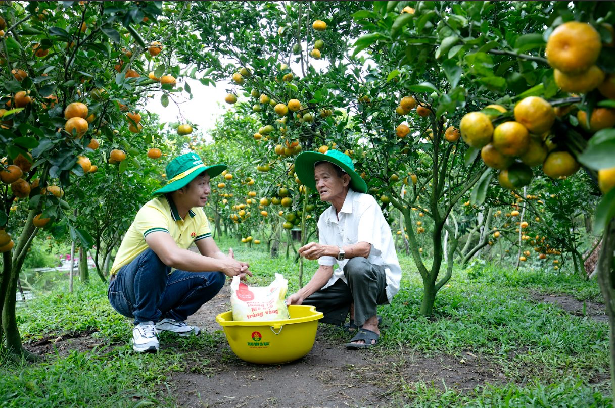 Phân Bón Cà Mau: Tính trước mùa vụ để vững chãi “mùa vàng”