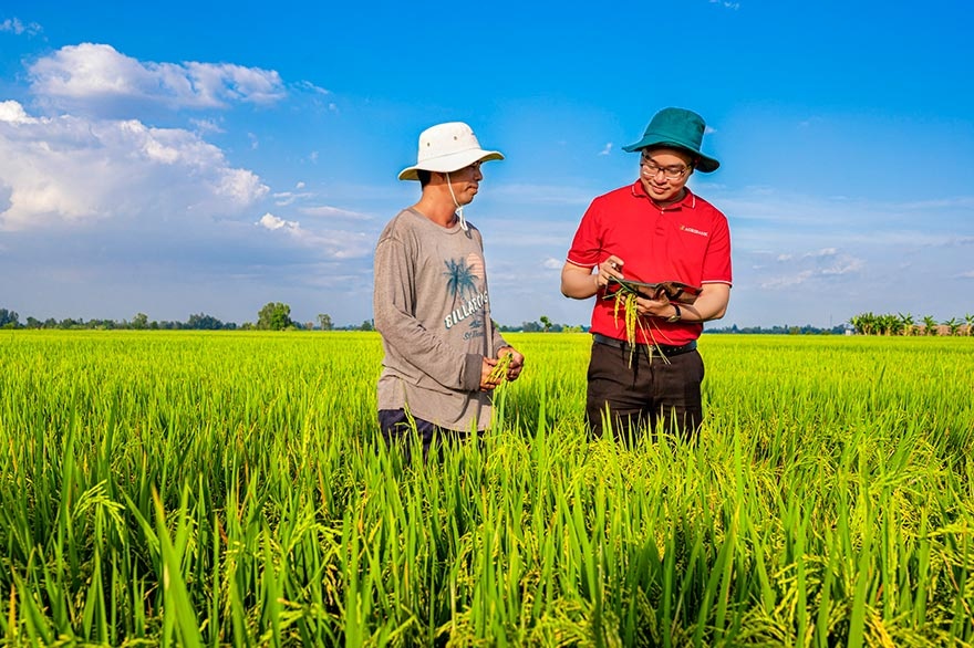 Agribank khẳng định bản lĩnh ngân hàng “trụ cột” qua các công trình trọng điểm quốc gia