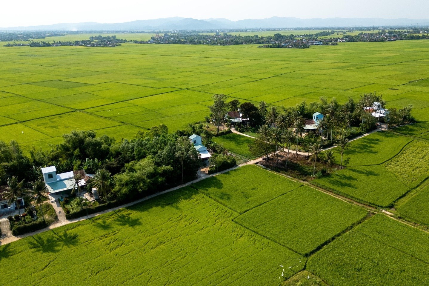 Những ngôi nhà an toàn được Ngân hàng Phát triển Châu Á (ADB) và Chính phủ tài trợ được xây dựng Những ngôi nhà an toàn được Ngân hàng Phát triển Châu Á (ADB) và Chính phủ tài trợ được xây dựng