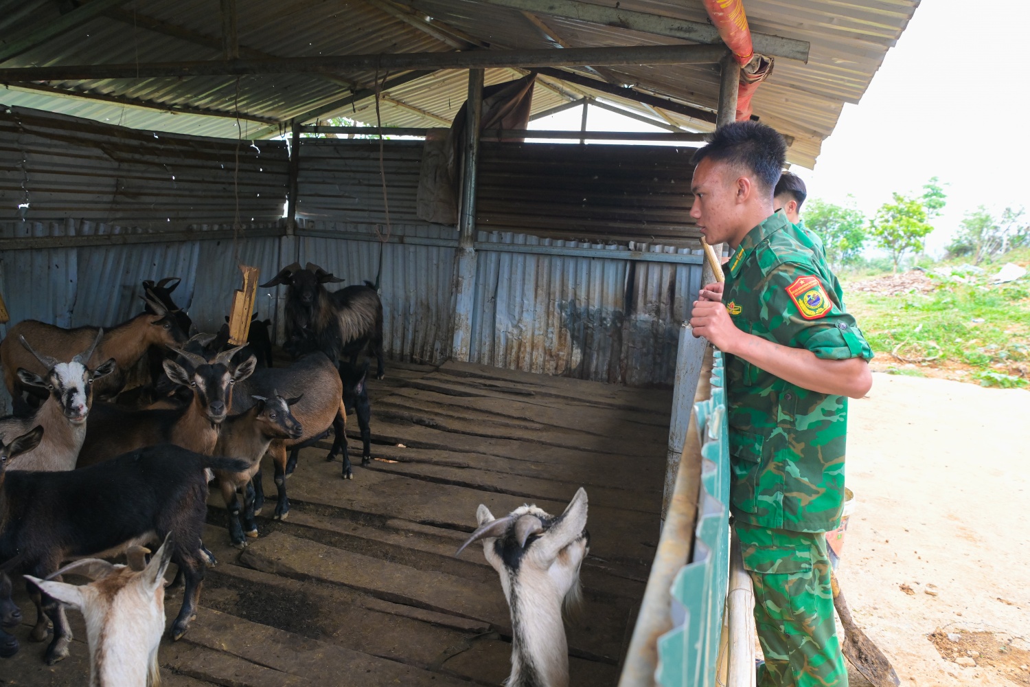 Ấm tình nơi tuyến đầu Tổ quốc, người lính giữ đất bằng cả trái tim Ấm tình nơi tuyến đầu Tổ quốc, người lính giữ đất bằng cả trái tim