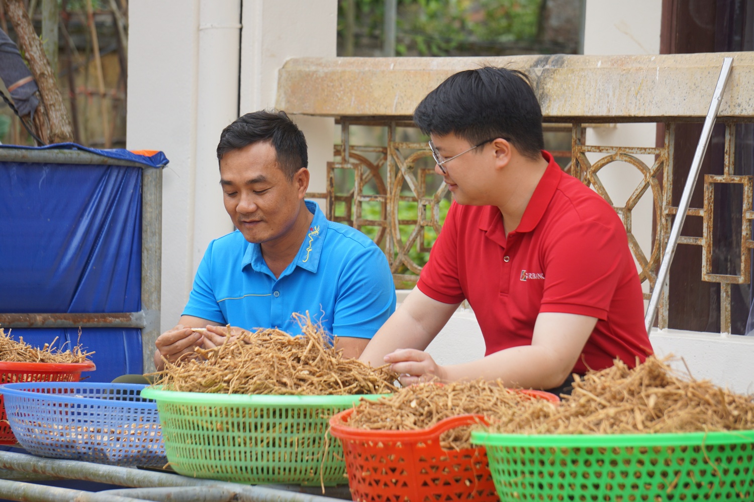Từ tiếp cận vốn đến phát triển bao trùm: Dấu ấn tài chính toàn diện ở nông thôn (Kỳ 2)