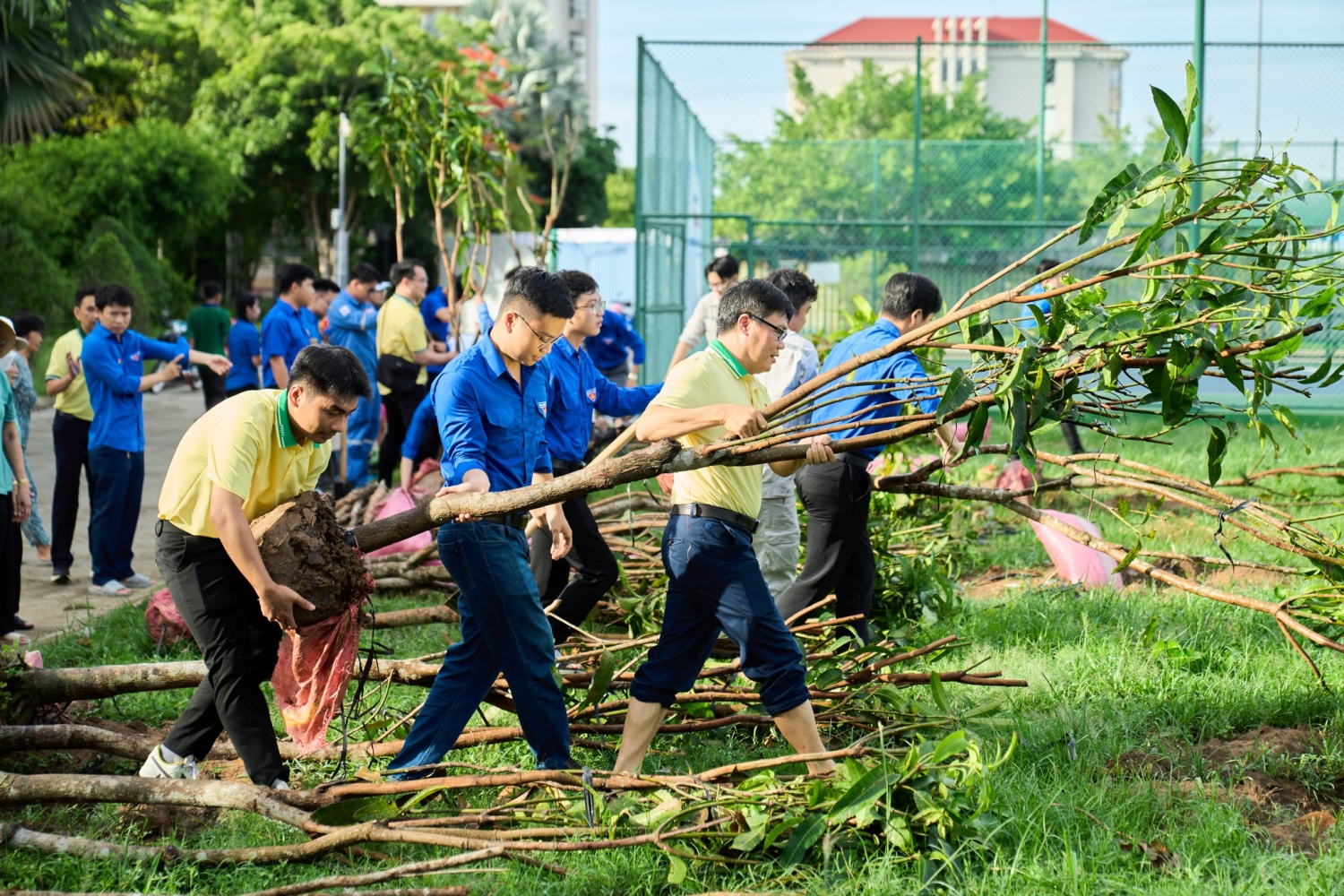 PVCFC chung tay kiến tạo không gian xanh, lan tỏa giá trị bền vững
