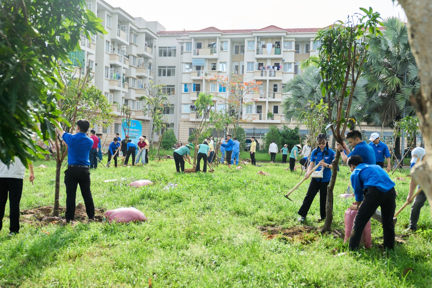 PVCFC chung tay kiến tạo không gian xanh, lan tỏa giá trị bền vững