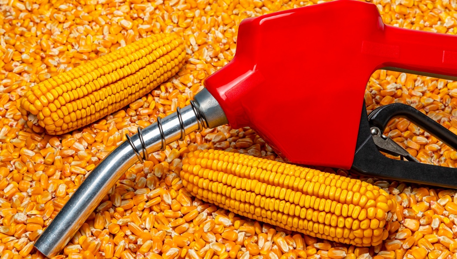 Xăng ethanol ở Ấn Độ và hành trình chuyển dịch năng lượng (Kỳ  2)