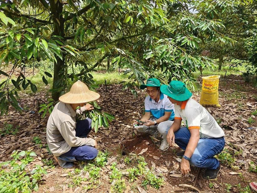 Nửa đầu năm 2026: PVFCCo – Phú Mỹ bứt phá tăng trưởng toàn diện Nửa đầu năm 2026: PVFCCo - Phú Mỹ bứt phá tăng trưởng toàn diện