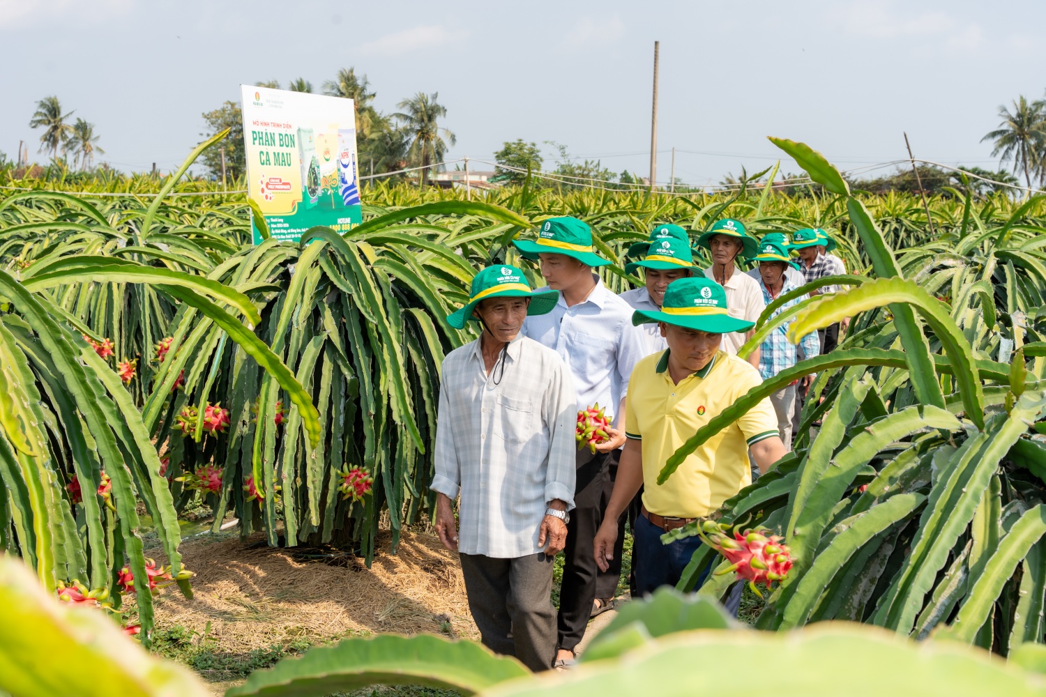 Hỗ trợ nhà nông vượt khó: Điểm tựa cho một mùa vụ vững tin hơn Hỗ trợ nhà nông vượt khó: Điểm tựa cho một mùa vụ vững tin hơn