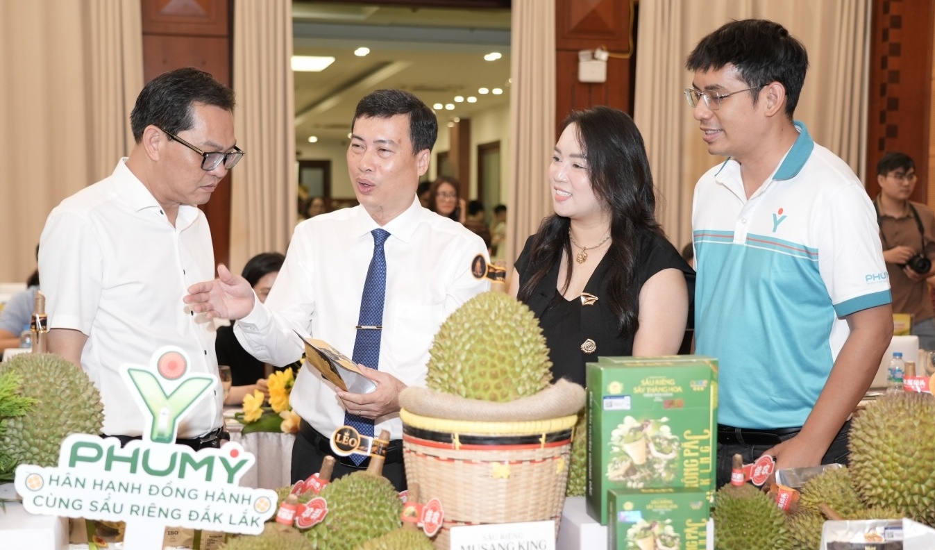 PVFCCo - Phú Mỹ đồng hành cùng sầu riêng Đắk Lắk vươn xa