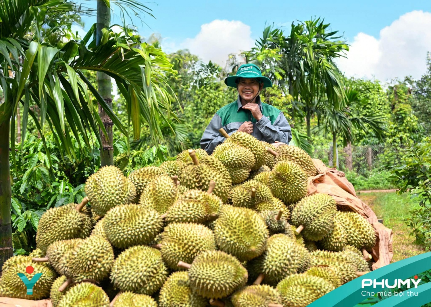 Dấu ấn đậm nét của Phú Mỹ tại Lễ hội Sầu riêng Đắk Lắk 2026