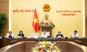 Xem xét đề xuất giảm 30% thuế cho hộ kinh doanh, doanh nghiệp nhỏ