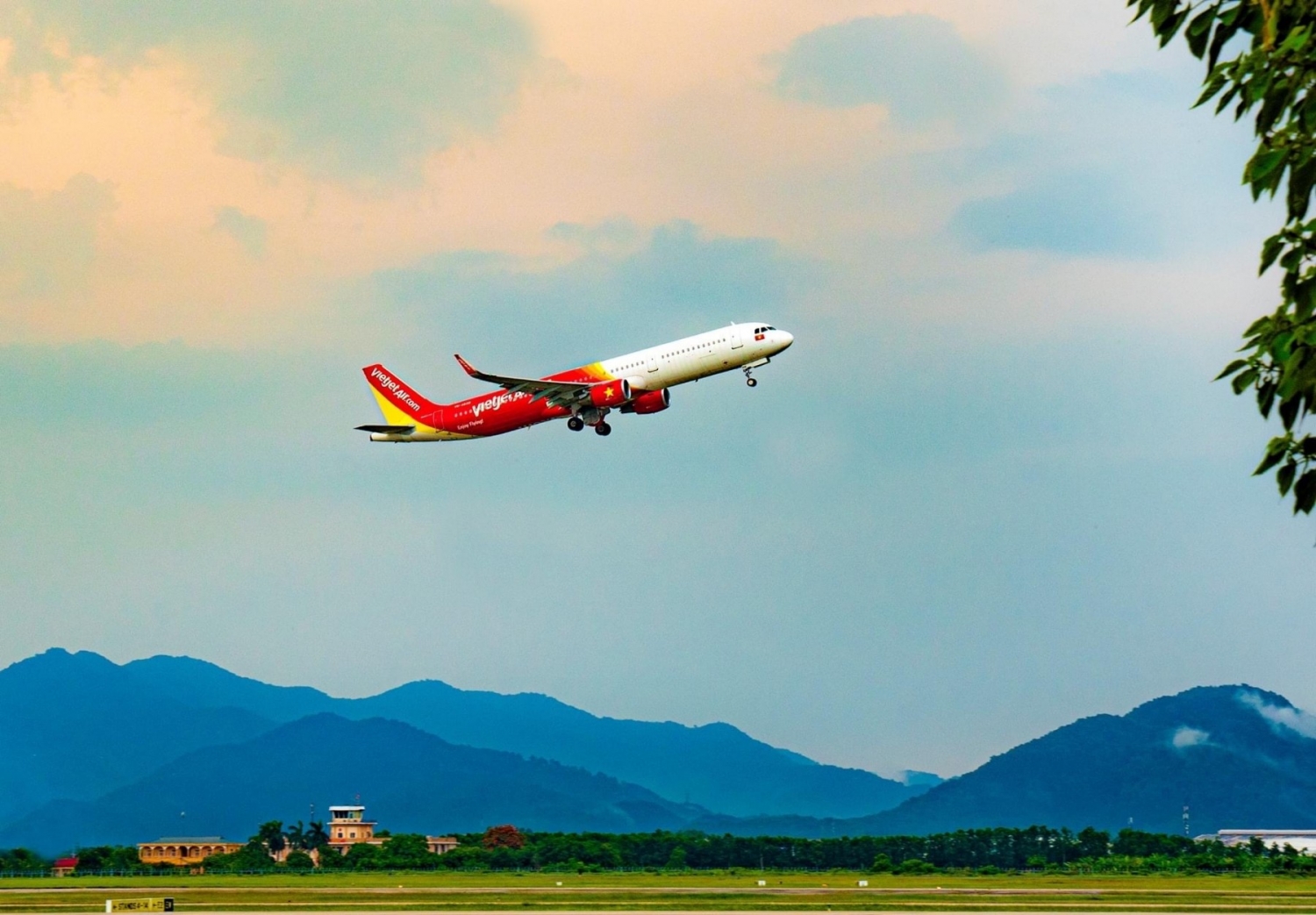 Cùng Vietjet chung tay xuất khẩu và tiêu thụ vải thiều Bắc Giang
