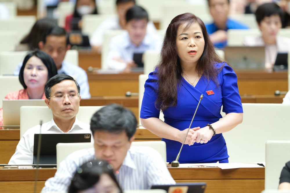 đại biểu Vũ Thị Lưu Mai – đoàn Hà Nội 