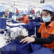 Cần 