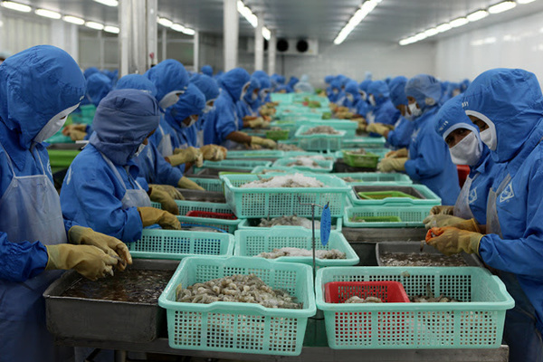 DN thuỷ sản nỗ lực thực hiện