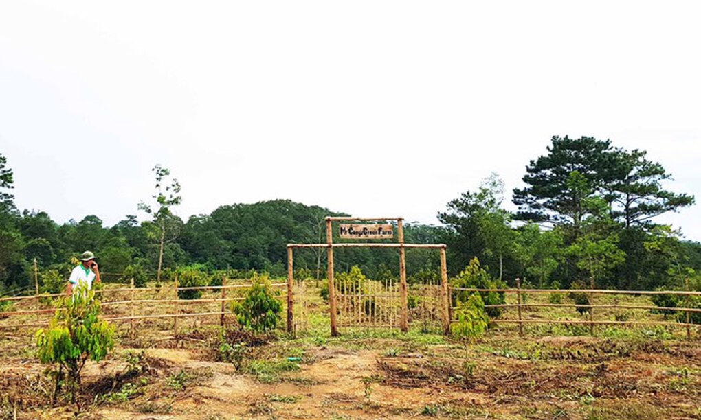 5910-a-tb-farmstay-da-lat-tienph-1506-1599246440