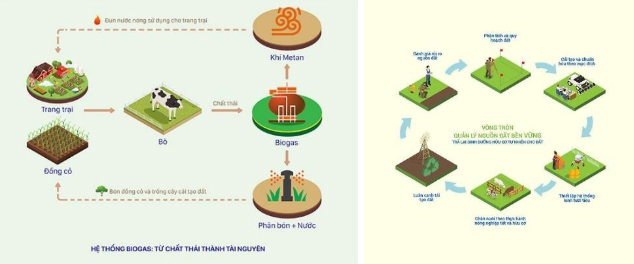 Vinamilk vững vàng vị trí dẫn đầu Top 100 doanh nghiệp bền vững Việt Nam năm 2020