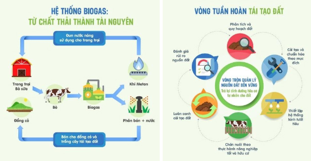 Vinamilk vững vàng vị trí dẫn đầu Top 100 doanh nghiệp bền vững Việt Nam năm 2020