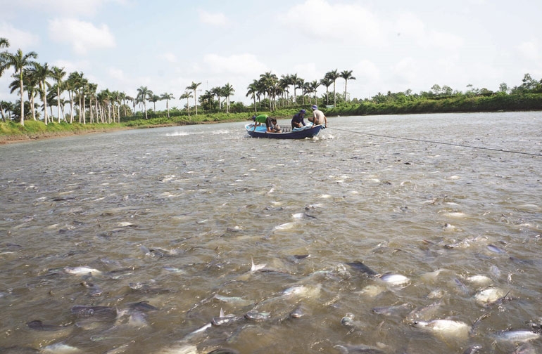 Những cơ hội lớn cho doanh nghiệp thuỷ sản