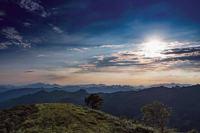 trong tra tren dai nui cao nhat vung dong bac