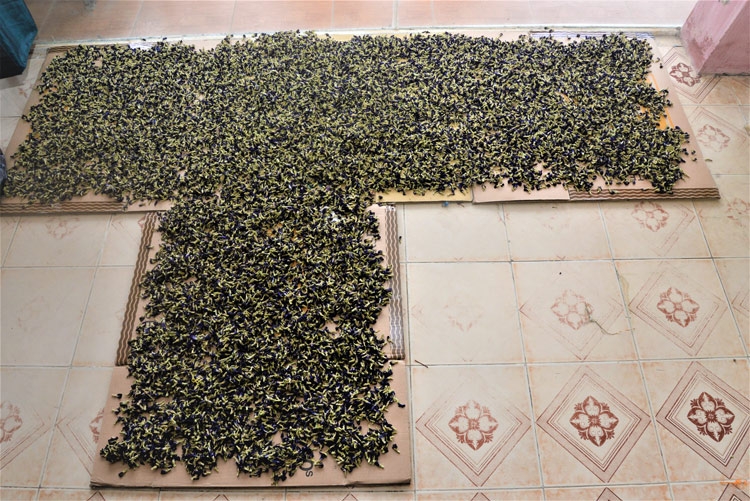 Vực dậy làng nghề tơ lụa