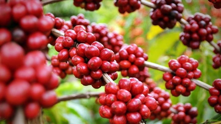 Ảnh minh hoạ.https://kinhtexaydung.petrotimes.vn
