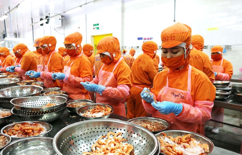 Tôm Việt - Đang mất dần lợi thế