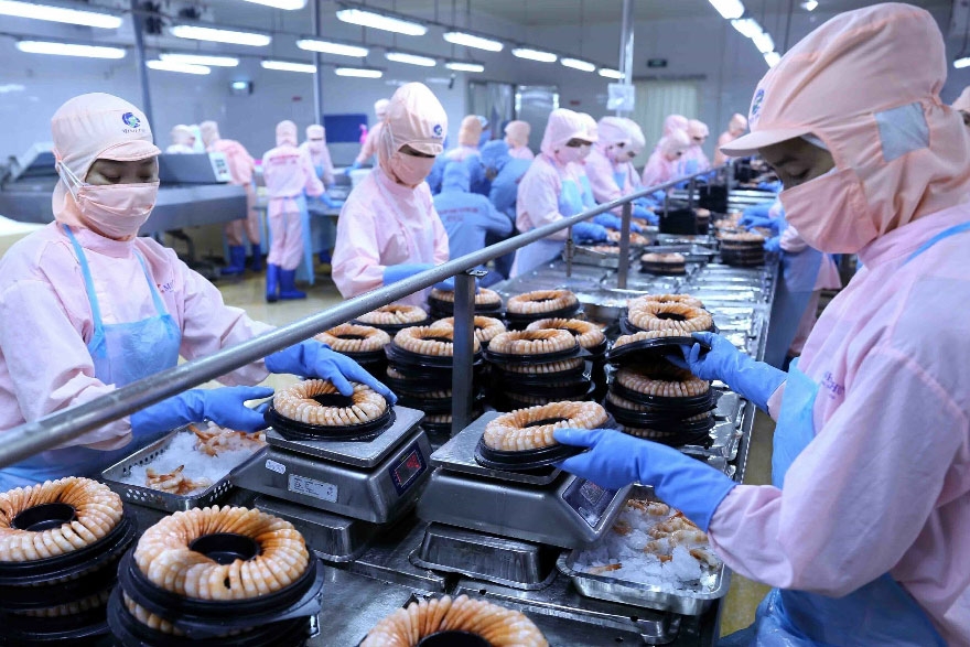 Thủy sản Việt chớp cơ hội trong đại dịch