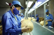 Những điểm sáng của kinh tế Việt Nam