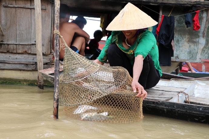 Hà Long - Khát vọng đổi đời ha long khat vong doi doi