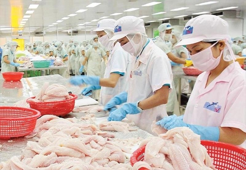 Doanh nghiệp thuỷ sản đề xuất dừng thu phí hạ tầng cảng biển và cửa khẩu