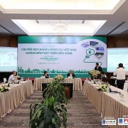 Chuyển đổi cơ cấu năng lượng tại Việt Nam