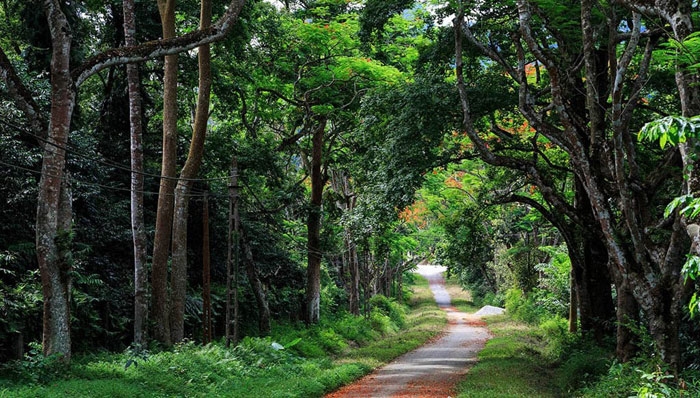 Mách bạn những điểm vui chơi cuối tuần lý tưởng gần Hà Nội mach ban nhung diem vui choi cuoi tuan ly tuong gan ha noi