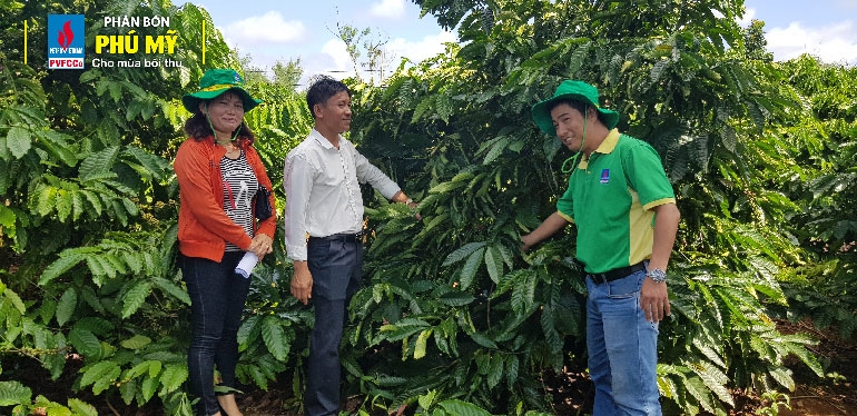 Quyết sách táo bạo, thành quả tự hào