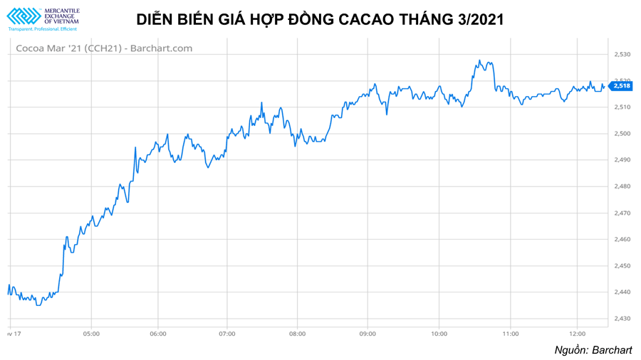 Mùa lễ Giáng sinh đến gần, giá cacao tăng mạnh, nhu cầu giá bông và đường giảm