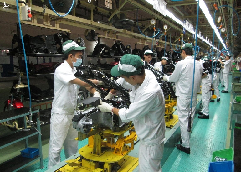 Công nghiệp phục hồi mạnh mẽ