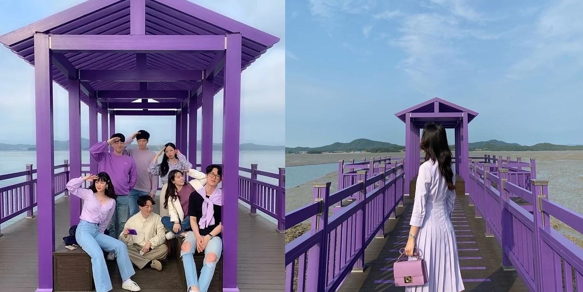 Check-in “quần đảo tím” thơ mộng, độc nhất vô nhị ở Hàn Quốc