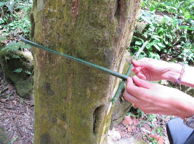 Vẻ đẹp kỳ bí của thung lũng Vẻ đẹp kỳ bí của thung lũng