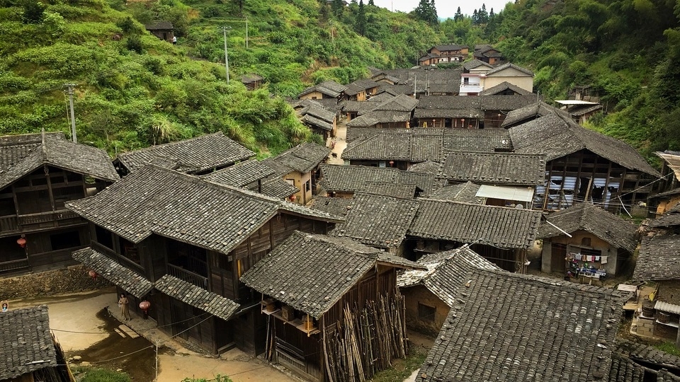 Bí ẩn chưa có lời giải về ngôi làng không có muỗi suốt hàng trăm năm Bí ẩn chưa có lời giải về ngôi làng không có muỗi suốt hàng trăm năm