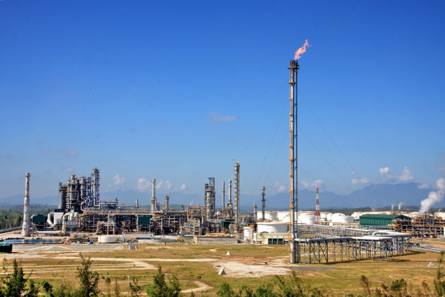 BSR: 24 năm Ngày truyền thống