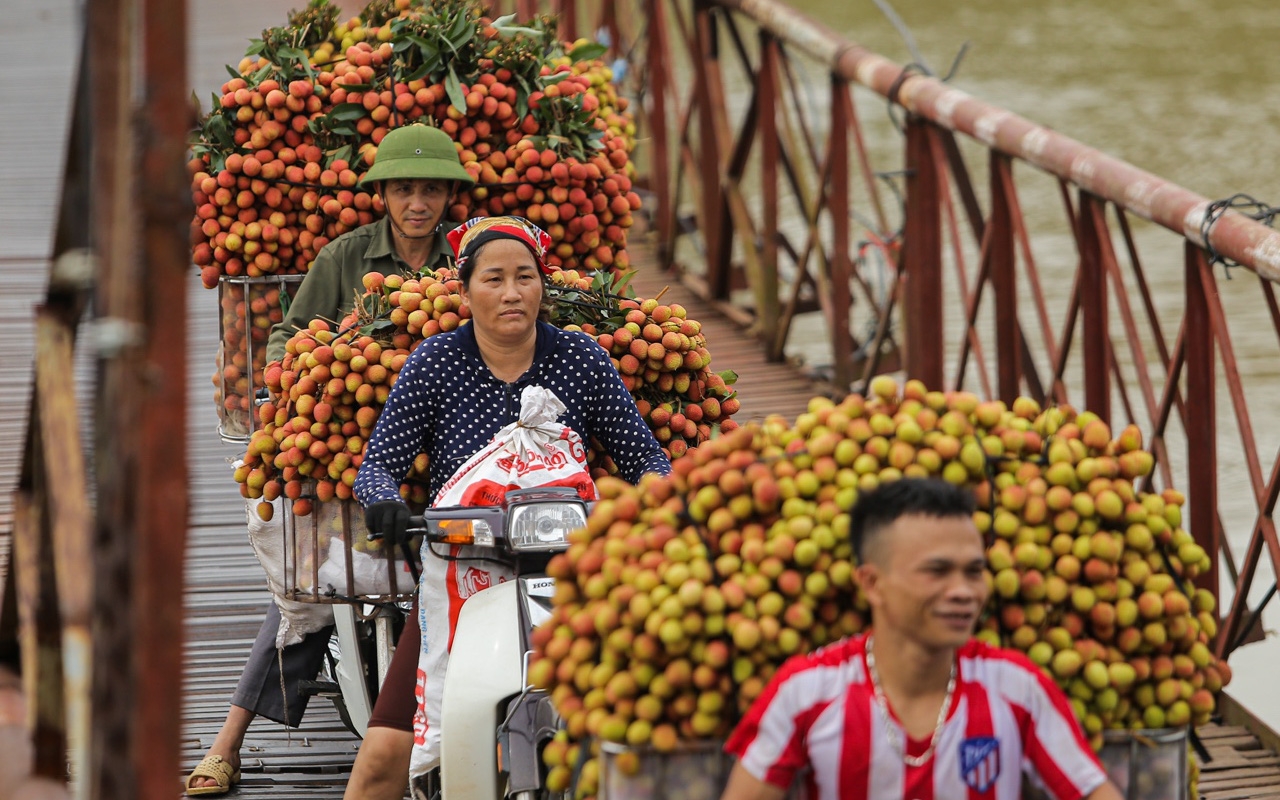 Giữa tâm dịch, Bắc Giang vẫn xuất được 15 tấn vải thiều sang Nhật Bản