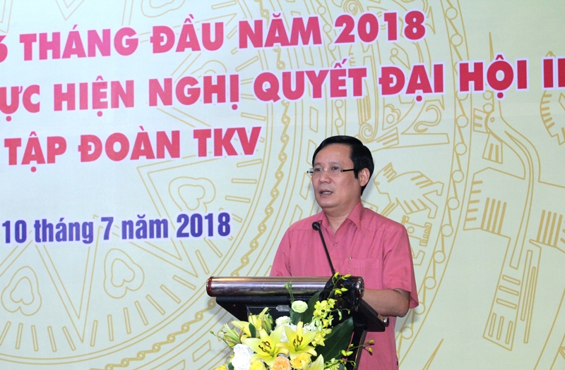 dang bo tap doan tkv to chuc hoi nghi so ket cong tac 6 thang dau nam 2018
