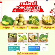 “Tuần lễ Nông sản Việt” chính thức chạy trên sàn thương mại điện tử