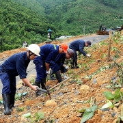 tkv chu dong san xuat va phong chong dich covid 19