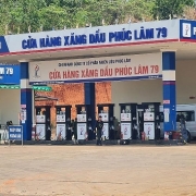 Vì sao Hiệp hội Xăng dầu kiến nghị khẩn không lùi ngày điều hành giá?