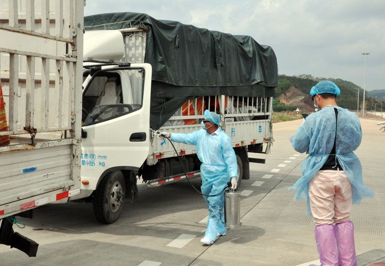 Trung Quốc tạm dừng nhập khẩu thanh long tại cầu phao tạm Đông Hưng